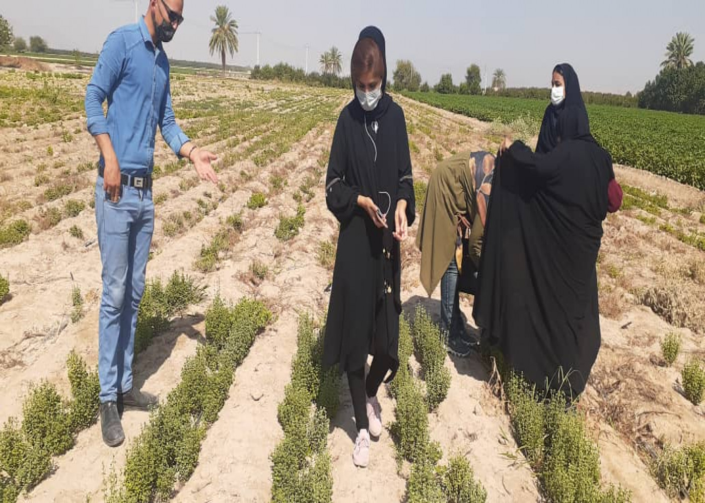 برگزاري اولین دوره آموزشي تخصصی کشت گیاهان دارویی در جهاددانشگاهي استان فارس