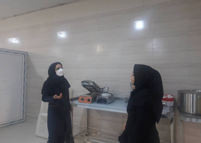 بازدید مدیر اجرایی طرح ملی توسعه مشاغل خانگی خوزستان از کارگاه بسته بندی ترشی و شور در اهواز