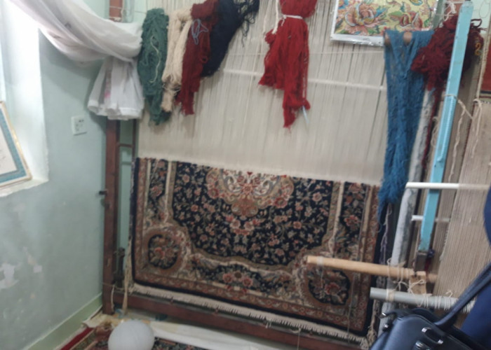 مذاکره مدیر اجرایی طرح مشاغل خانگی خوزستان با تولیدکننده توانمند قالی و گلیم اندیمشک