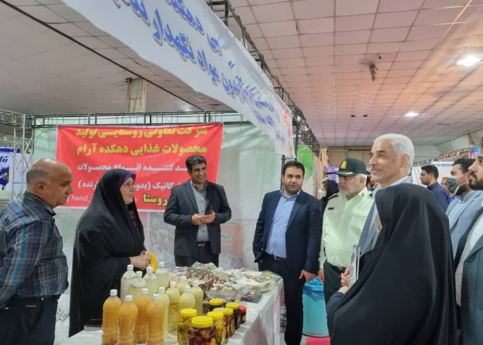 بازدید مدیر اجرایی طرح از فعالان حوزه مشاغل خانگی خوزستان در نمایشگاه هفته دولت