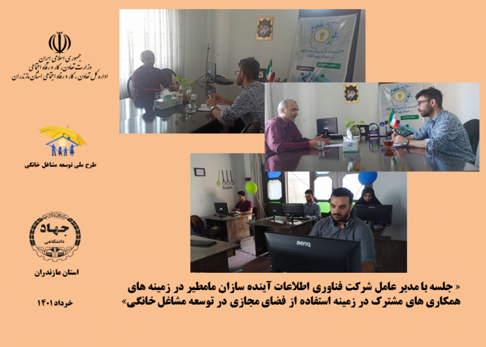 راهکارهای همکاری شرکت آفاکو در طرح ملی توسعه مشاغل خانگی در استان مازندران