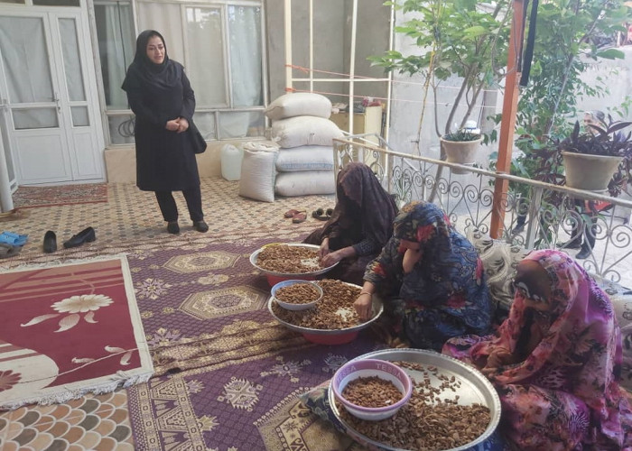بازدید مسئولان دبیرخانه طرح در آذربایجان شرقی از محل کارگاه بسته بندی خشکبار در تبریز