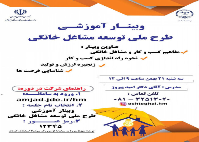 برگزاری «وبینار آموزشی طرح ملی توسعه مشاغل خانگی»  در همدان