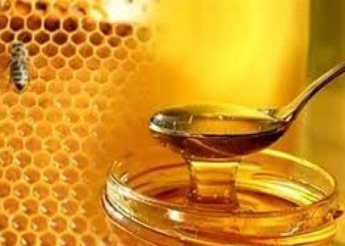 در راستای اجرای طرح ملی مشاغل خانگی صورت گرفت؛ انعقاد تفاهم نامه همکاری با پیشران تولیدکننده عسل در شازند