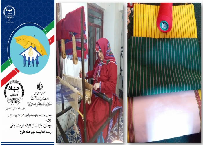 بازدید مدیر اجرایی طرح ملی توسعه مشاغل خانگی استان گلستان از کارگاه ابریشم بافی