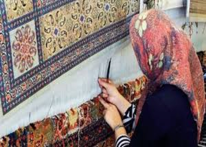 مدیراجرایی طرح ملی توسعه مشاغل خانگی استان گلستان: مشاغل خانگی به اشتغال پایدار کمک می کند