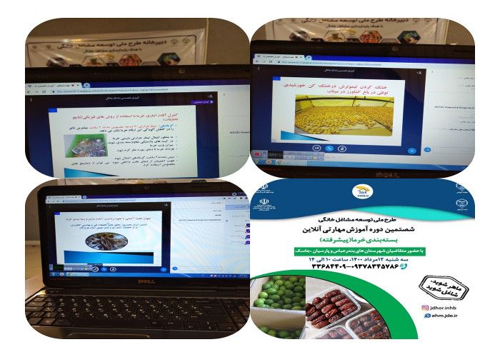 خرمای هرمزگان، نیازمند برندسازی و توسعه بسته بندی، فرآوری و ایجاد صنایع تبدیلی است