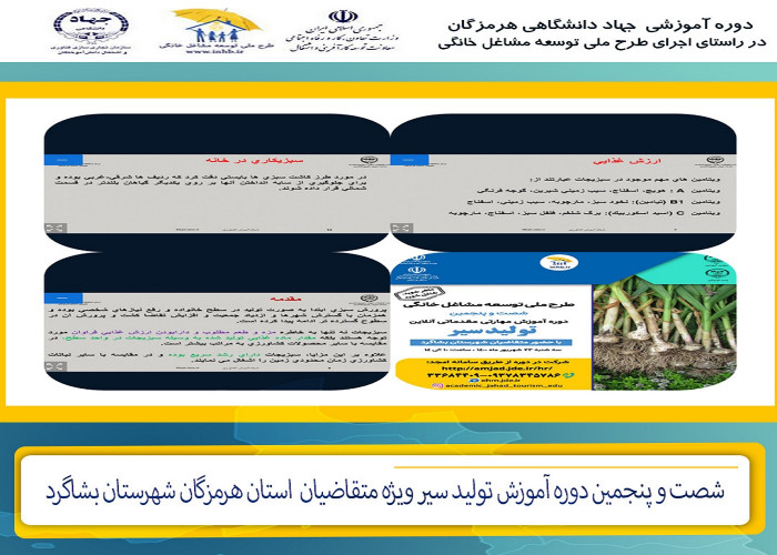 برپایی آموزش تولید سیر در جهاد دانشگاهی هرمزگان