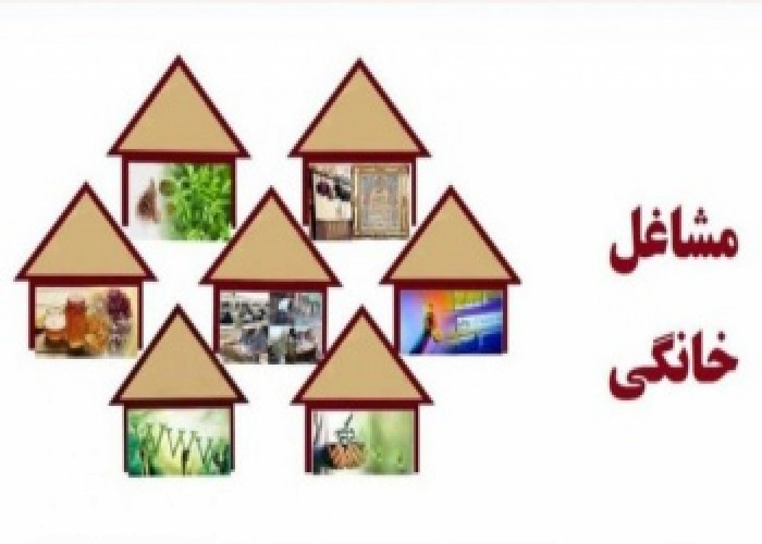 اجرای فاز دوم طرح توسعه مشاغل خانگی توسط جهاددانشگاهی استان کردستان