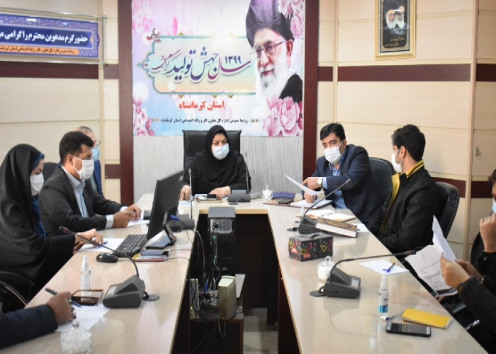 تشریح اقدامات انجام شده در حضور کارفرمای استانی در طرح ملی توسعه مشاغل خانگی در استان کرمانشاه