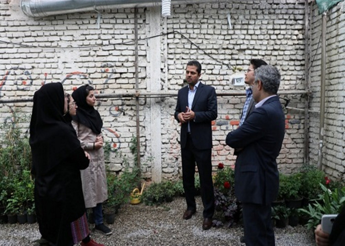 مدیر عامل شرکت «ایران هاروست» پشتیبان طرح نوین مشاغل خانگی از یکی از گلخانه‌های شهری کرمانشاه