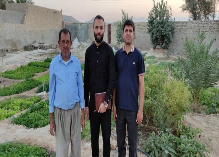 بازدید از طرح کشت و برداشت سبزیجات در روستای کال بخش اشکنان شهرستان مهر و لامرد استان فارس