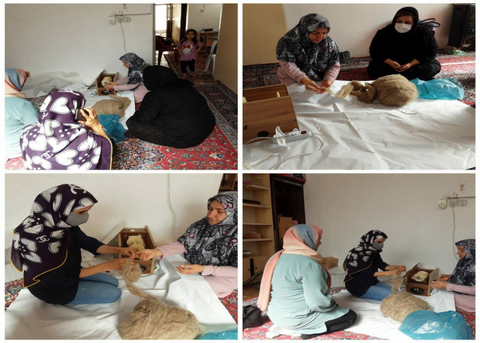 برگزاری دوره تربیت مربی نخ ریسی ویژه متقاصیان طرح ملی توسعه مشاغل خانگی در استان ایلام