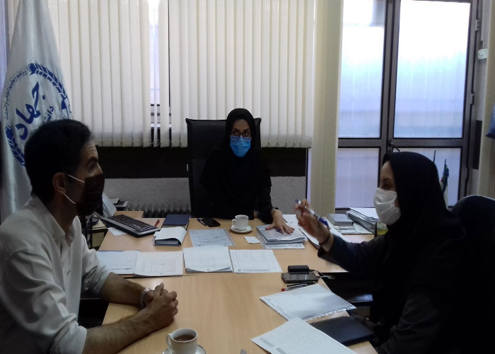 ارائه گزارش عملکرد عامل توسعه شبکه قالیبافی در زنجان