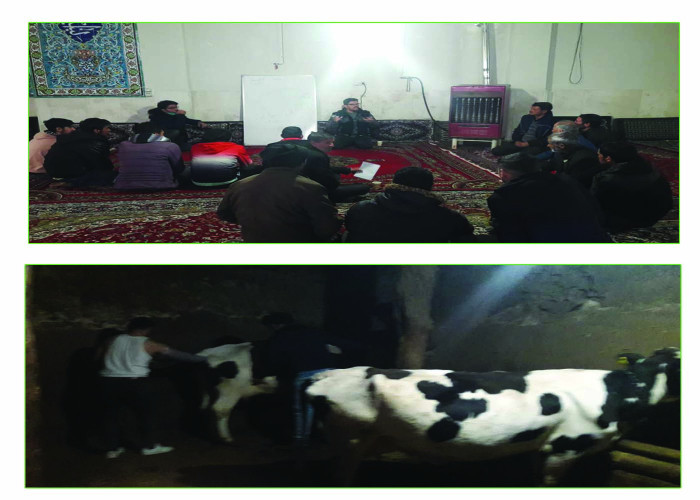 برگزاری دوره‌های آموزشی مزیت پرورش دهنده گوسفند و بز و ویزیت دام در روستای تازه کند- زنجان