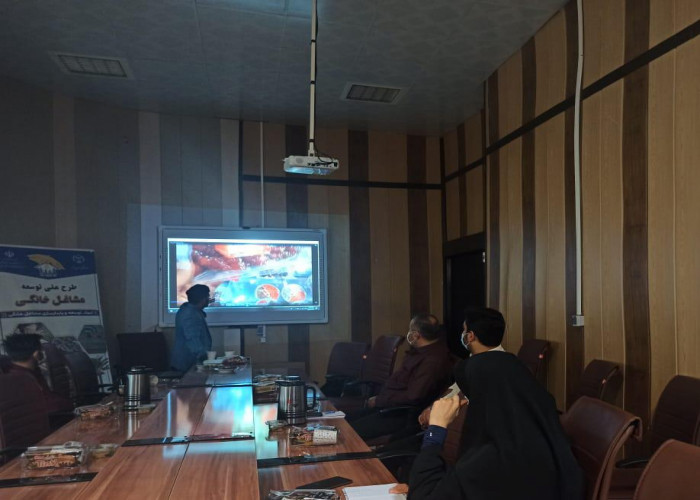برگزاری کارگاه ایده پردازی و تکنیک های خلاقانه بسته بندی خرما در بوشهر
