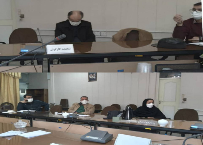جلسه حمایت از مشاغل خانگی  استان  همدان در اداره کل تعاون،کار و رفاه اجتماعی  استان همدان
