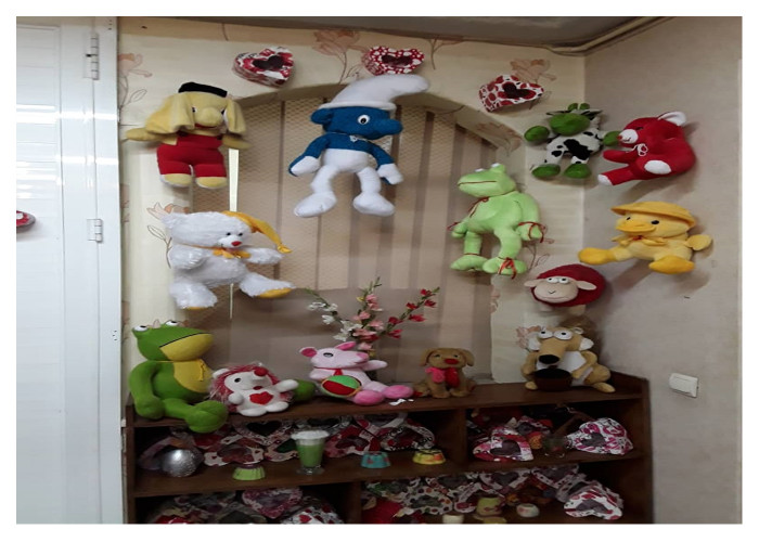 بازدید از کارگاه ساخت عروسک های دستدوز با هدف ایجاد فرصت شغلی خانگی در غرب شهر تهران